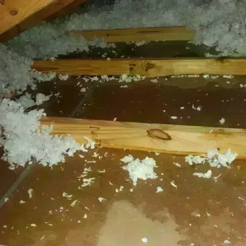 Attic Water Damage in Booker, TX