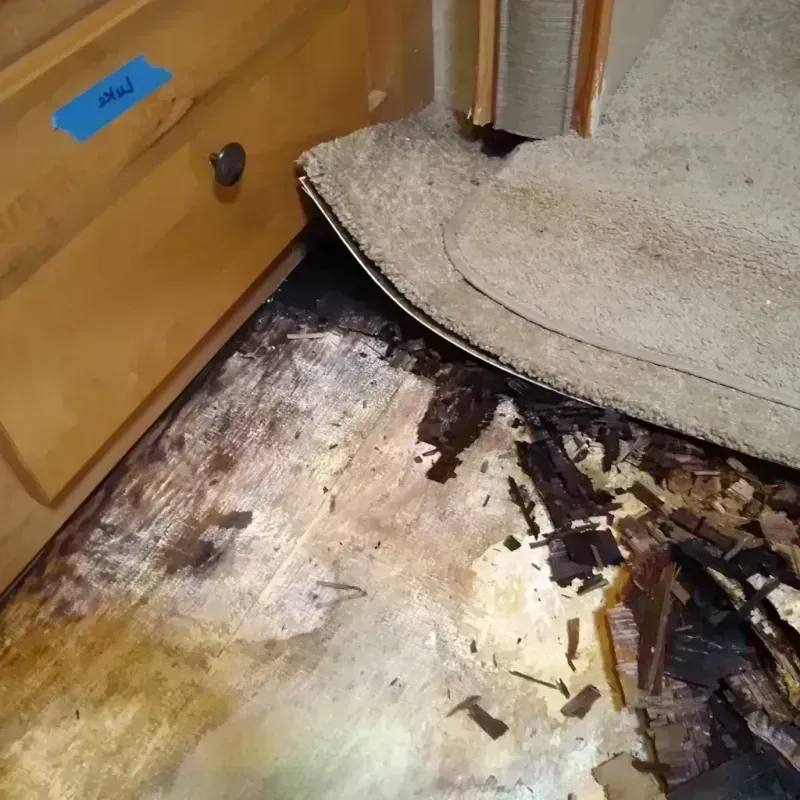 Wood Floor Water Damage in Booker, TX